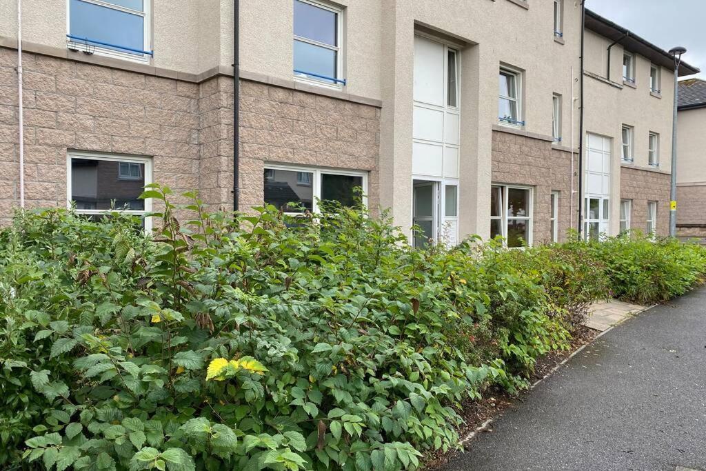 Peter Pan Apartment In The Heart Of Inverness Dalneigh Εξωτερικό φωτογραφία